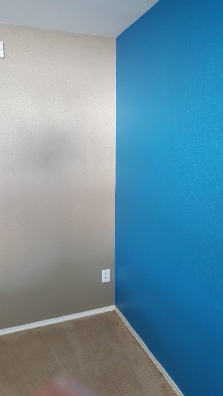 Two-tone accent wall in bold blue and warm taupe